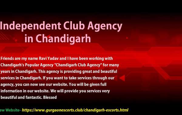 Good Quality escort agency chandigarh