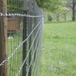 APG Fencing Contractor Profile Picture