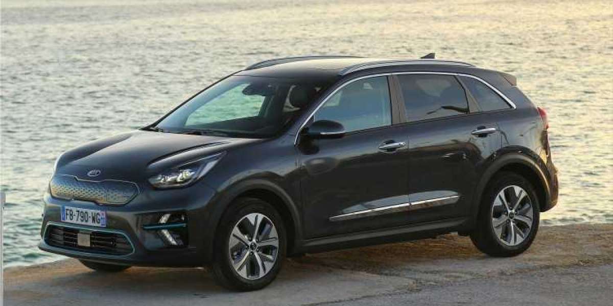 The Kia e-Niro earned the title of "Best electric small SUV"