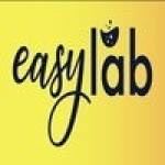 Easy Lab profile picture