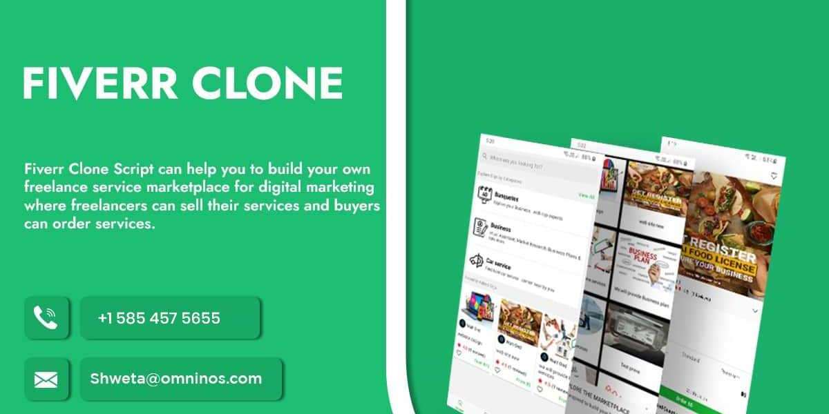 Fiverr Clone App Development Company