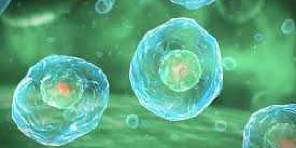 Massive Report Amniotic Products Amniotic ProductsMarket 2022: Focusing on Top Leading Vendors like Applied Biologics , 