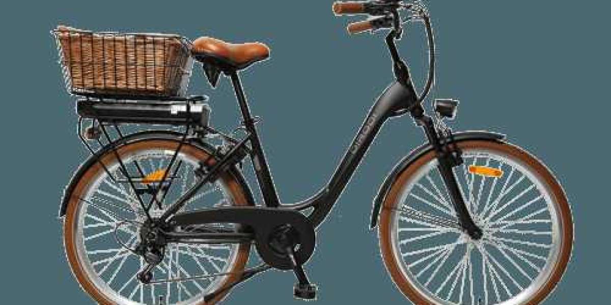 Electric Bike with Throttle