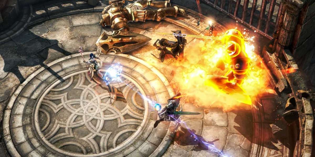 The Paladin is a half-DPS , half-support class from Lost Ark