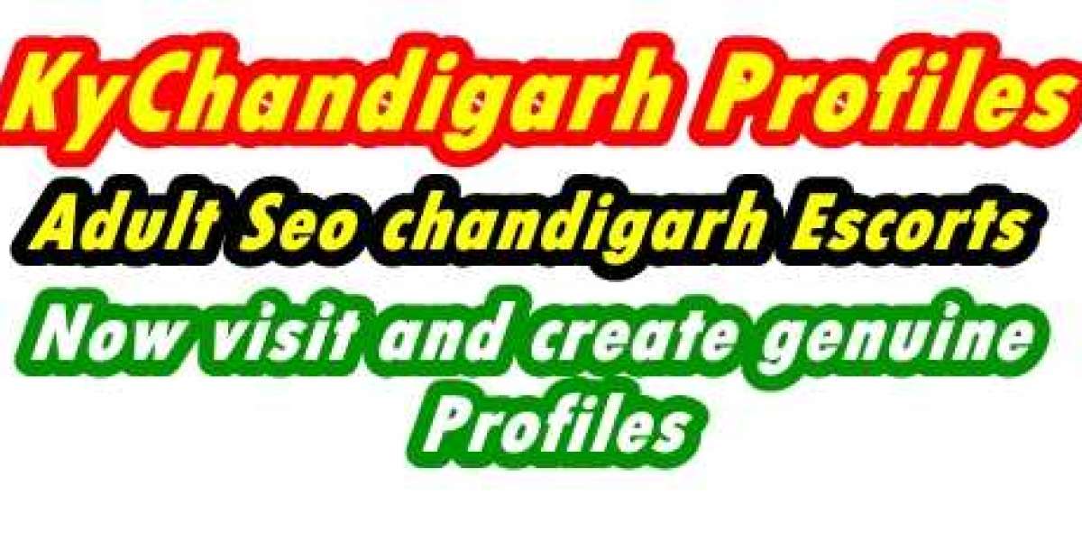 KyChandigarh | Adult Seo Service Profiles For You