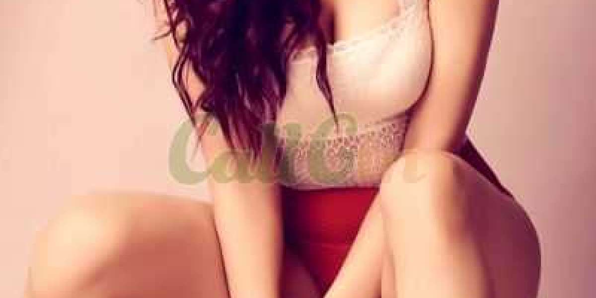 Enjoy limitless fun with the absolute best types Escort service in Karol Bagh