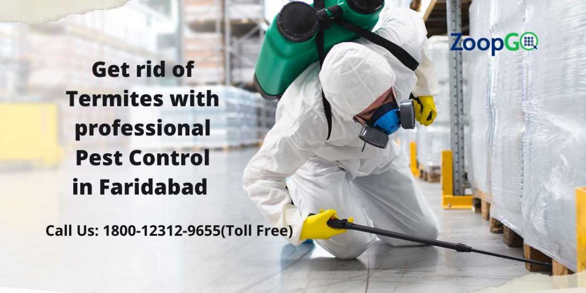 Get rid of Termites with professional Pest Control in Faridabad