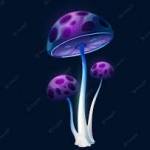 magic mushroom1 Profile Picture