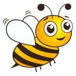 Mr. Bee profile picture