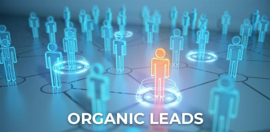Organic Leads | Organic Lead Generation | Mont Digital