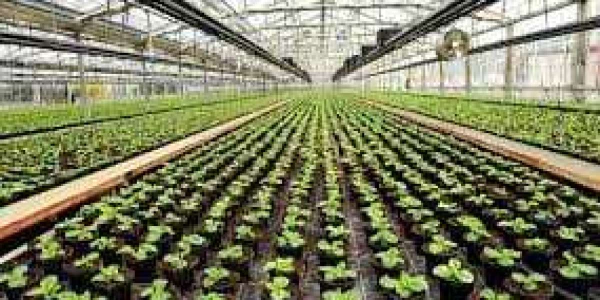 Commercial Greenhouse Market  Growth, Size, Trends Forecast 2028