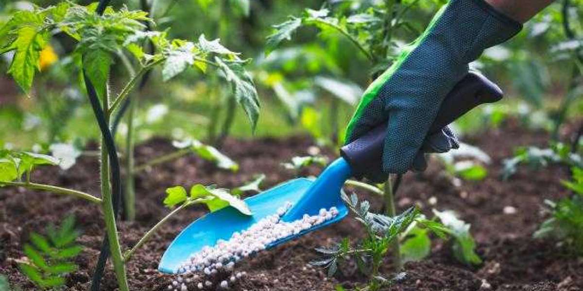 what is the best fertilizer for a vegetable garden