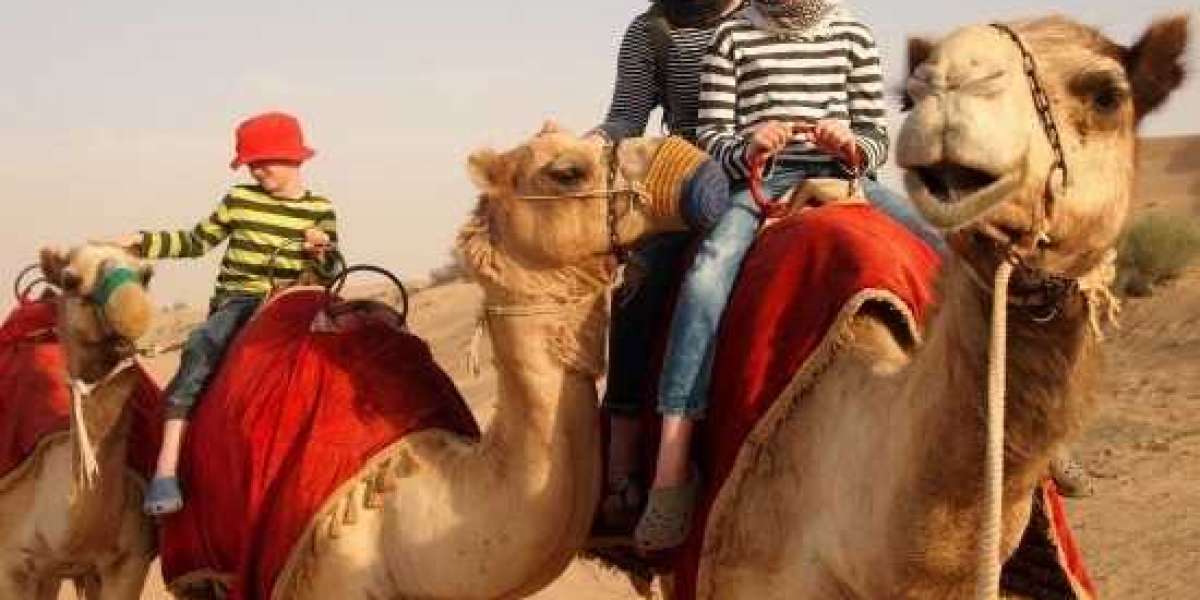 Where to Ride camel in Dubai ?