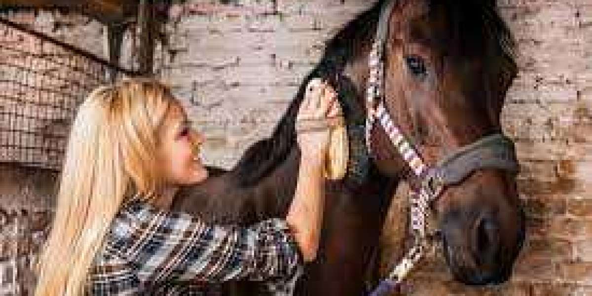 How to properly prepare a horse for a haircut?