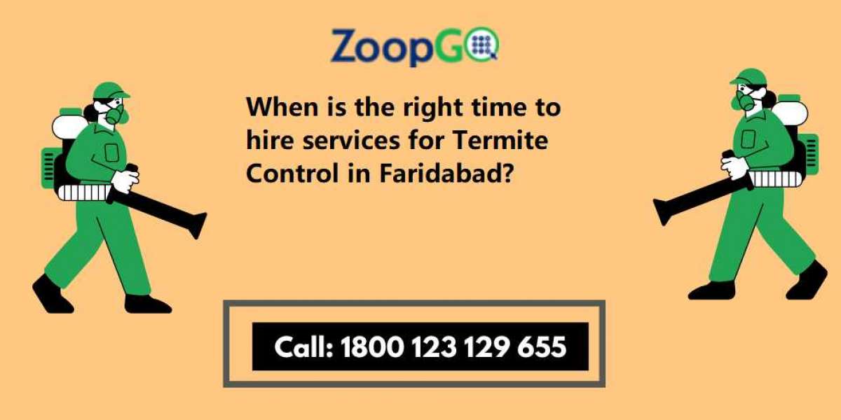 When is the right time to hire services for Termite Control in Faridabad?