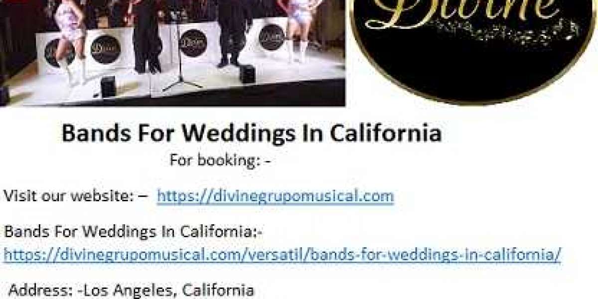 Divine Latin Bands For Weddings In California at Best Price.