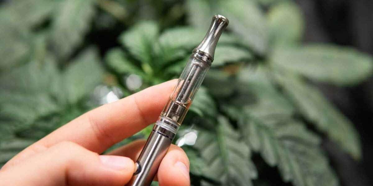 Thc Vape Pen: Legalizing Drugs: A Road to Nowhere