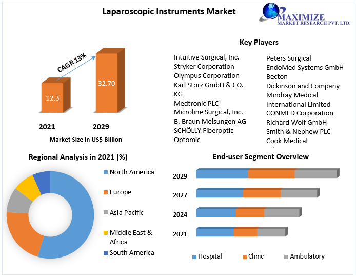 Laparoscopic Instruments Market: Industry Analysis and Forecast - 2029