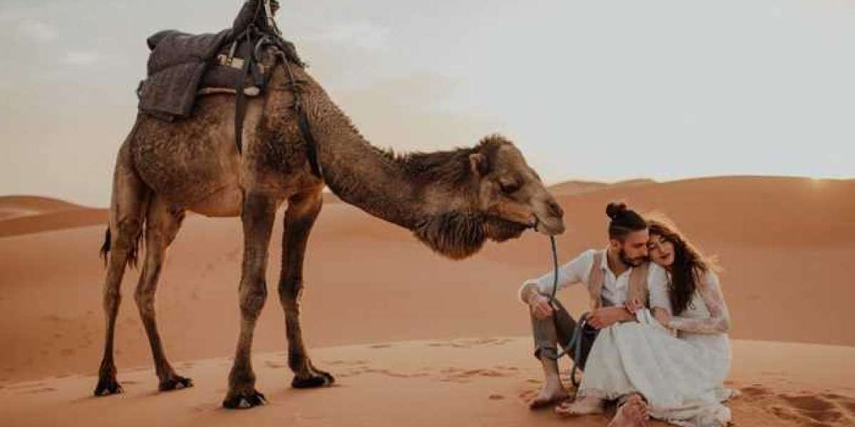 Which is the most enjoyable Desert Safari in Dubai?