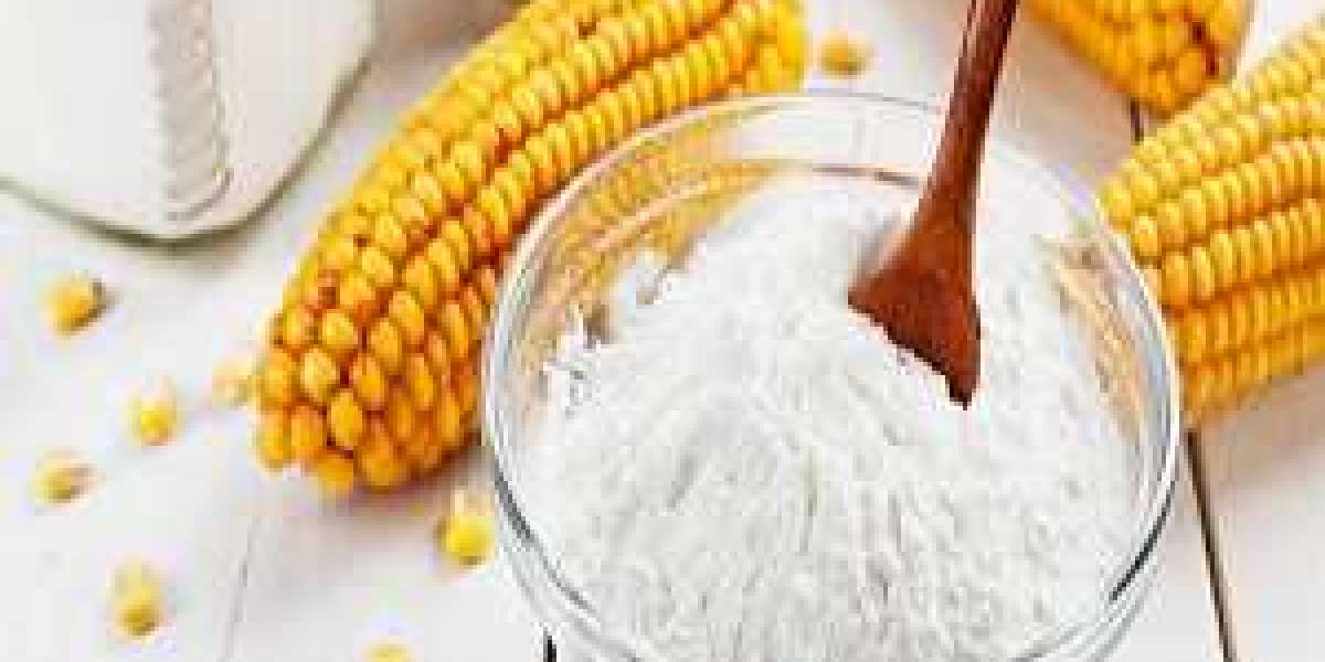 Corn Starch Market Size Statistics To Witness Robust Growth & Future Prospects