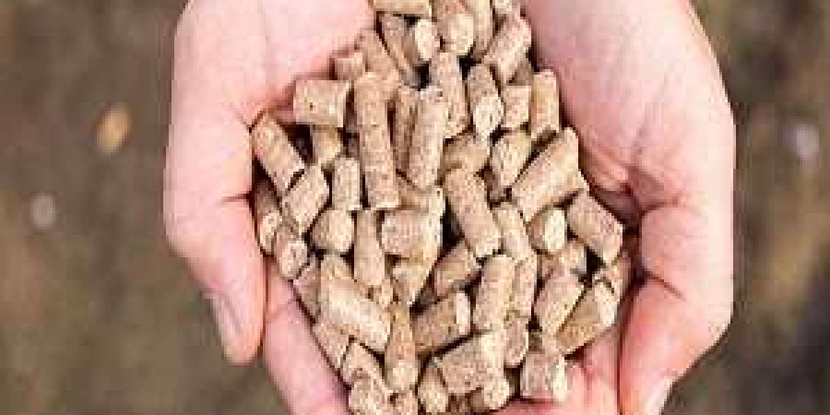 Compound Feed Market size, Countries and Forecast Period