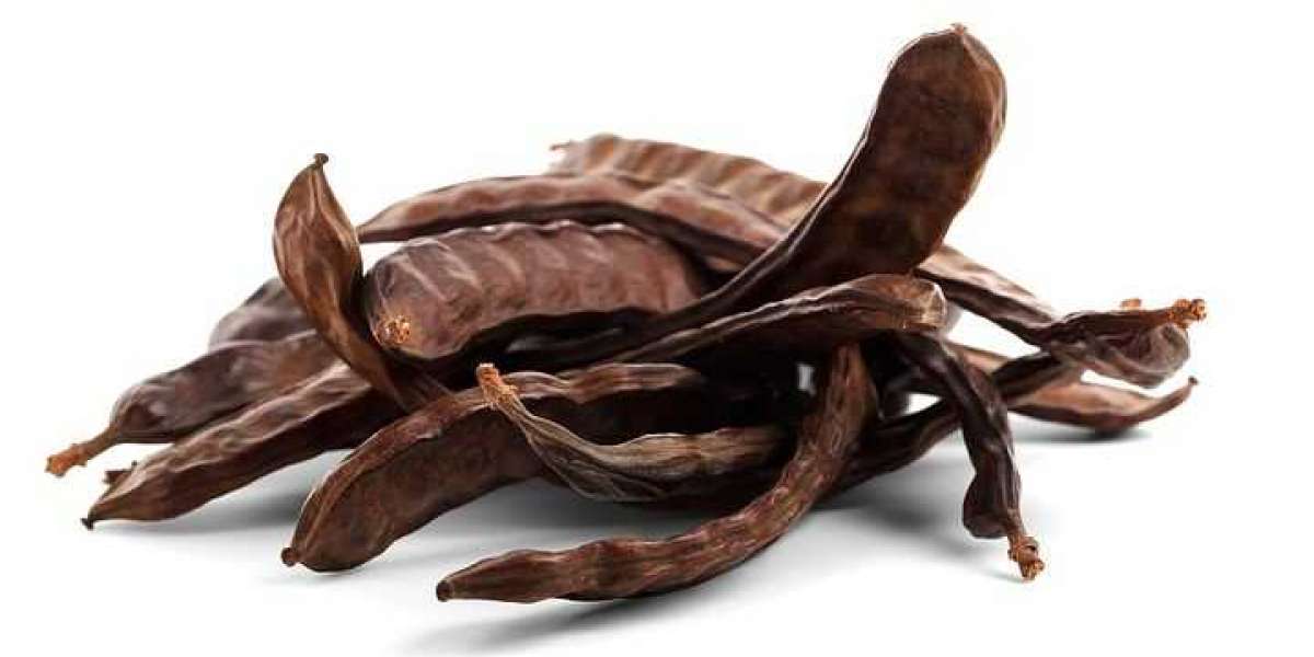 Carob Industry Manufacturers Report and Analytical Insights