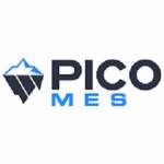 Pico MES Profile Picture