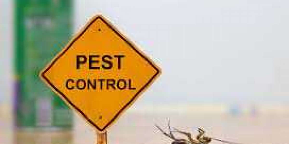 What to Look for in a Pest Control Expert