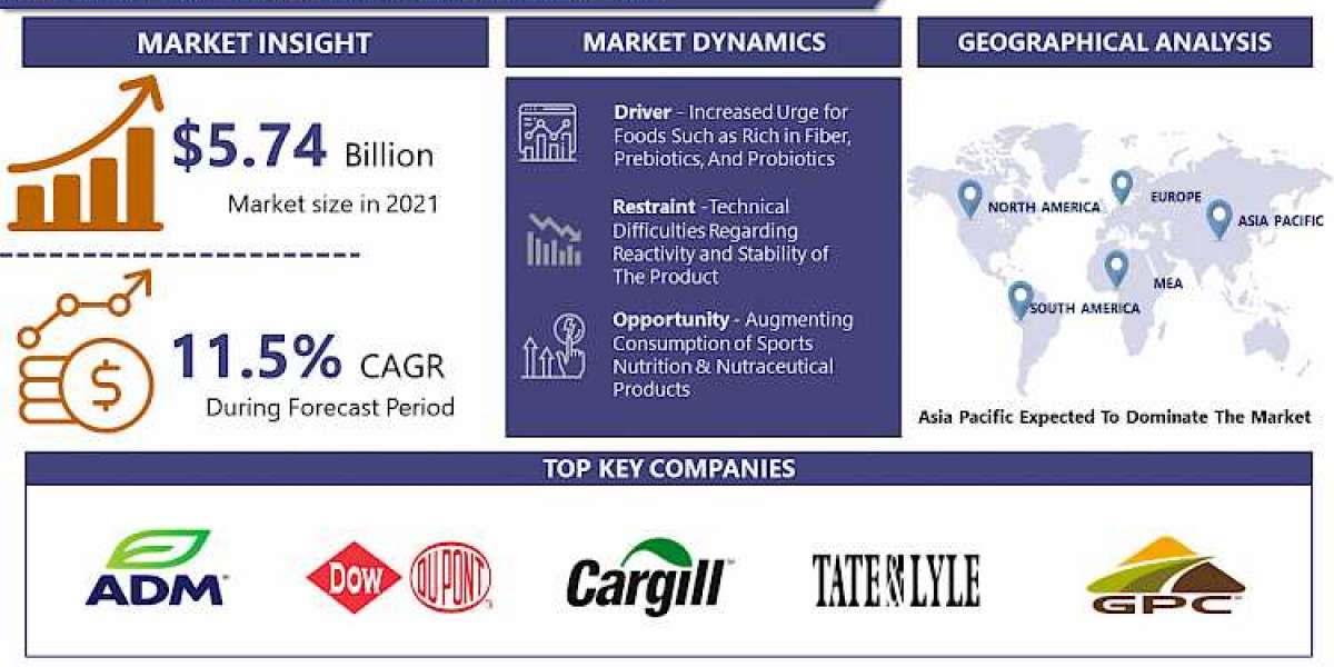 Dietary Fibers Market Worth $19.67 Billion By 2028|Cargill, Archer Daniels Midland Company, DuPont