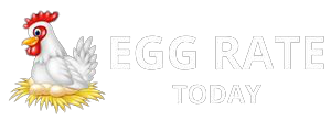 Namakkal Egg Rate Today | NECC Egg Price in Namakkal, Tamilnadu