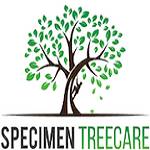 specimen treecare Profile Picture