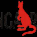 kangaroo Autocare Profile Picture
