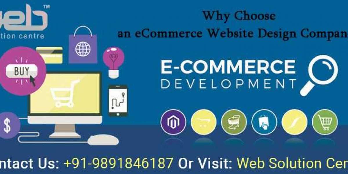 Ecommerce Web Design Company In Delhi