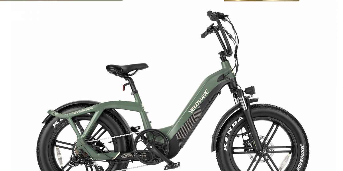 Electric bikes gain momentum as climate, transportation solution