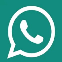 WhatsApp Pro APK v10.10.20 Latest Download Free For Android (Anti Ban) - FmWApp