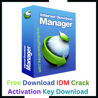 IDM CRACK 6.41 BUILD 6 PATCH + SERIAL KEY Download 2023