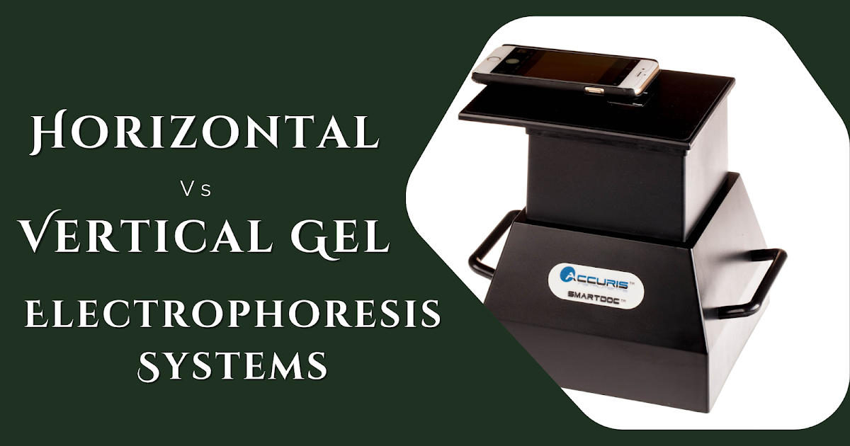 Difference Between Horizontal & Vertical Gel Electrophoresis Systems!