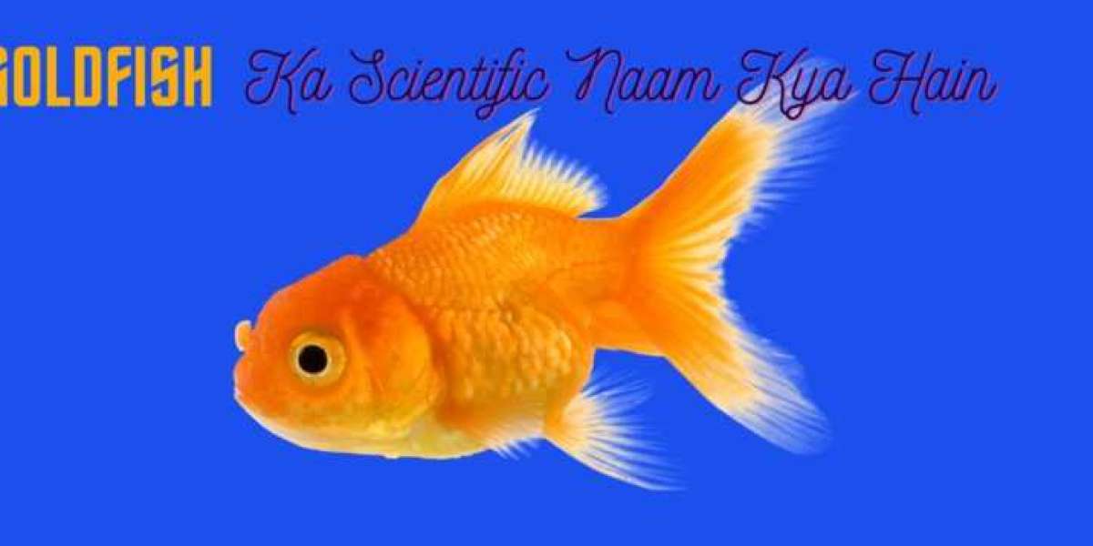 Goldfish ka scientific Name kya hai (गोल्डफिश का साइंटिफिक नाम क्या है)?