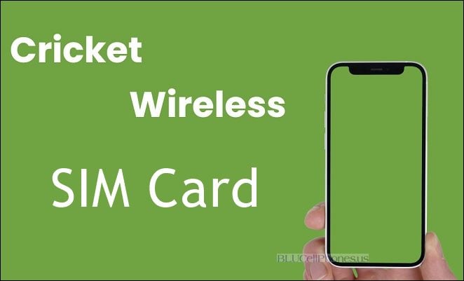 Can I Put my Cricket SIM card in Another Phone - SIM Replacement