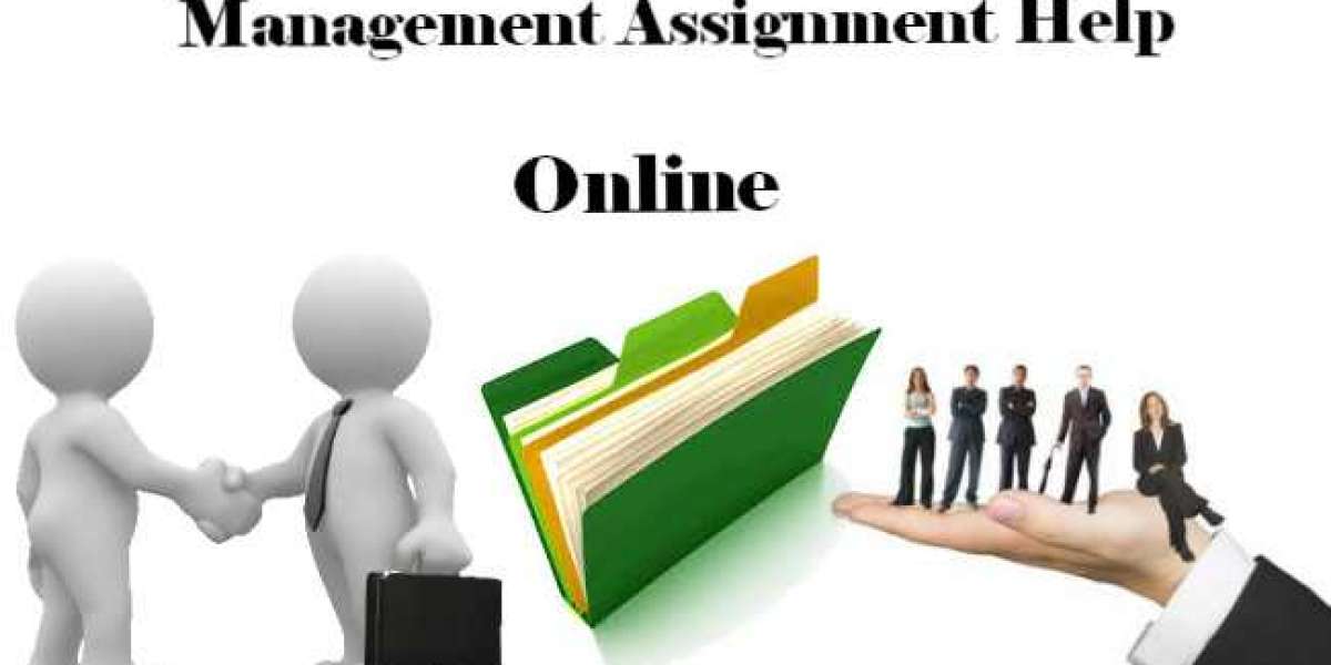 Get Expert Assistance With Your Assignments In The USA