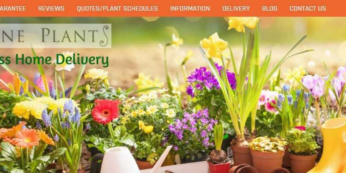 Online Plants – Buy Native Australian Plants Online - Online Nursery