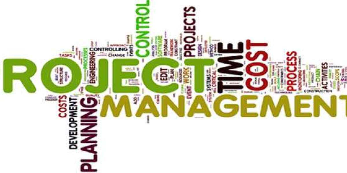 How to Check The Scam Of Project Management Assignment Help