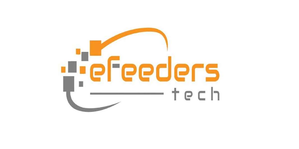 Boost Your Online Presence with eFeeders Tech
