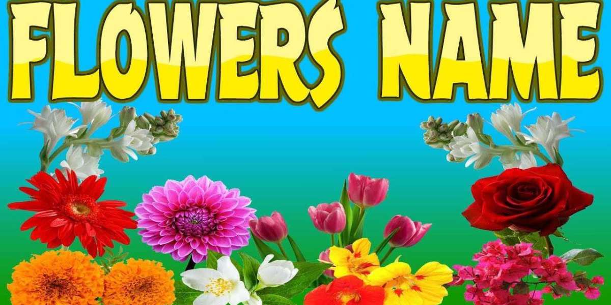How English Learning Websites Can Be Helpful to Learn All Flowers Name?