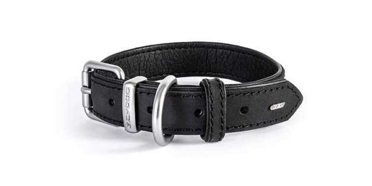 The Benefits of Having a Leather Dog Collar