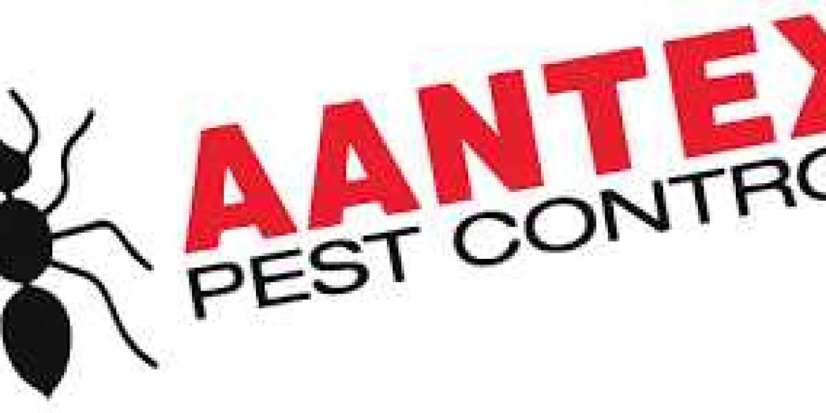 Pest Control Hayward: Tips for Effective Pest Management