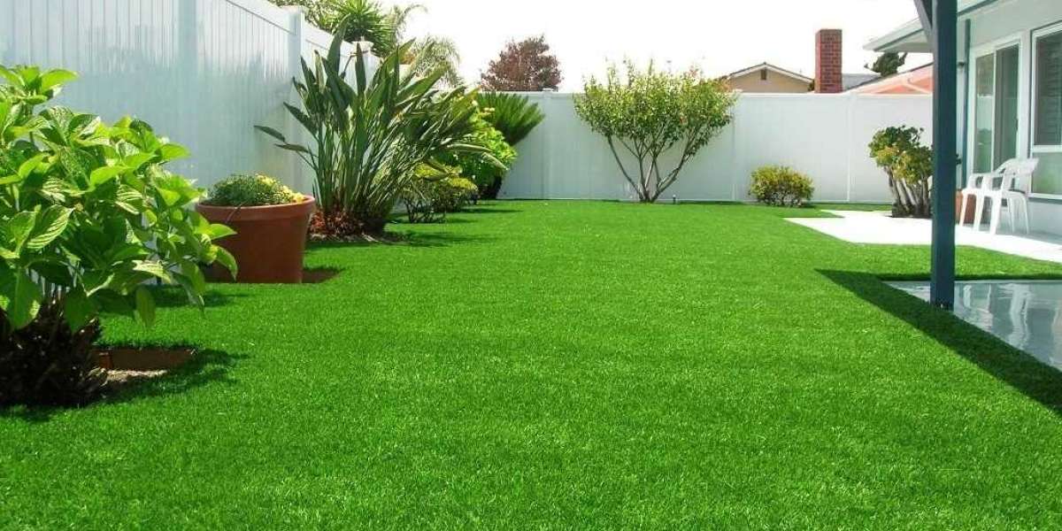 Creating Your Ideal Turf: Tips for a Perfect Lawn"