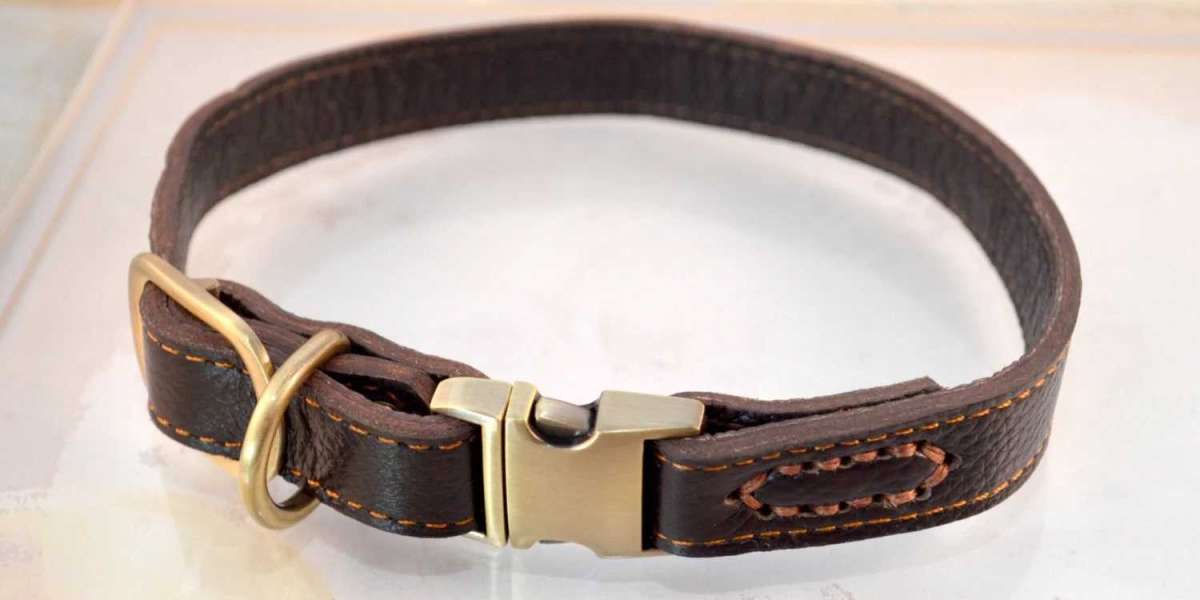 How to Properly Care for Your Leather Dog Collar