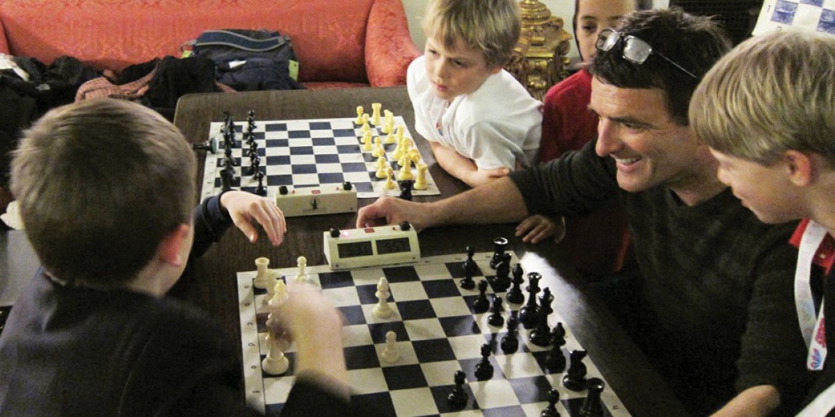 From Beginner to Grandmaster: The Journey of Chess Champions