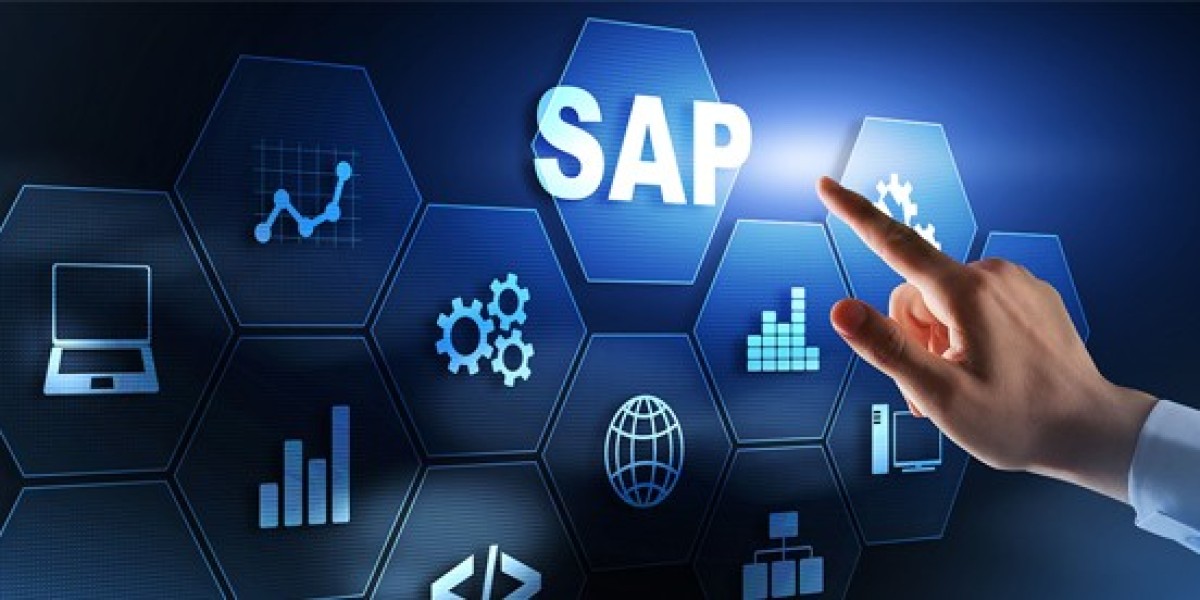 Read This Interesting Blog About SAP Testing